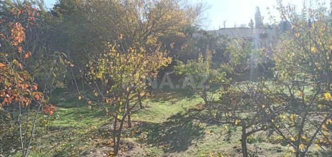 Satılır  torpaq 24 sot, Görədil q., photo 7 from 11