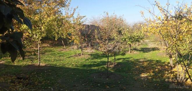 Satılır  torpaq 24 sot, Görədil q., photo 9 from 11