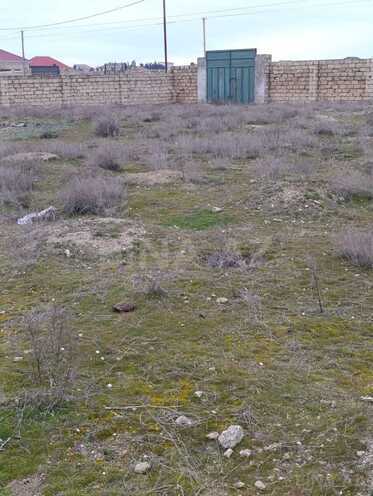 Satılır  torpaq 36 sot, Türkan q., photo 6 from 10