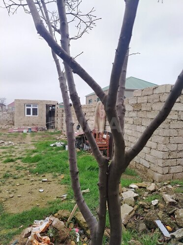 Satılır  torpaq 3 sot, Ramana q., photo 4 from 5