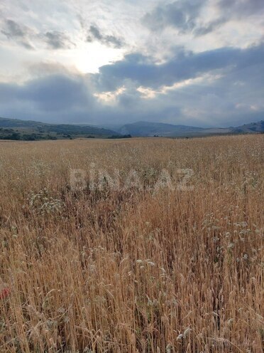 Satılır  torpaq 400 sot, photo 3 from 5