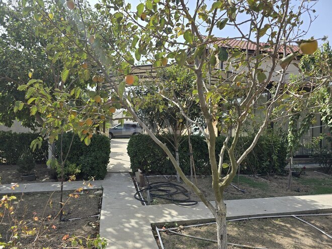 Satılır 4 otaqlı həyət evi/bağ evi 108 m², Türkan q., photo 14 from 25