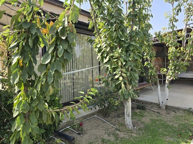 Satılır 4 otaqlı həyət evi/bağ evi 108 m², Türkan q., photo 12 from 25