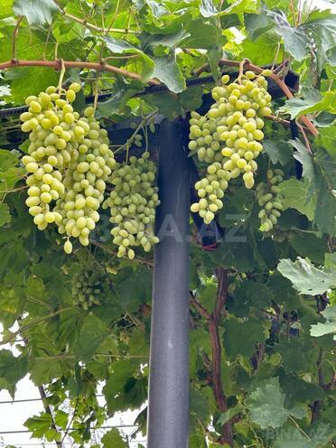 Продаётся 5-комн. дом/дача 200 м², пос. Мушфигабад, photo 6 from 23