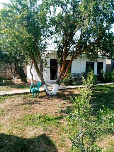 Satılır 14 otaqlı həyət evi/bağ evi 300 m², Nabran r., photo 20 from 28