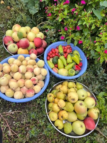 Продаётся  участок 12 сот, photo 25 from 29