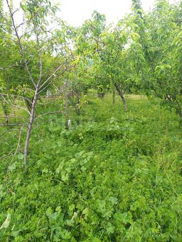 Продаётся  участок 12 сот, photo 3 from 29