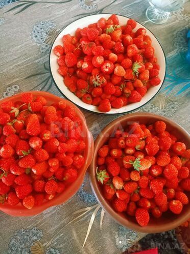 Продаётся  участок 12 сот, photo 26 from 29