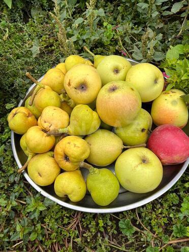 Продаётся  участок 12 сот, photo 11 from 29