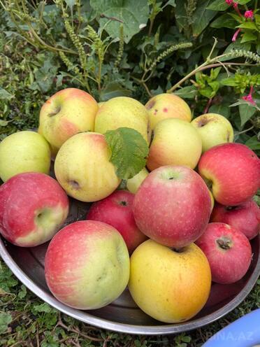 Продаётся  участок 12 сот, photo 13 from 29