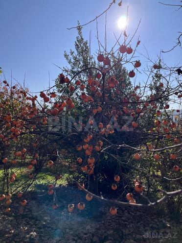 Продаётся  участок 12 сот, photo 24 from 29