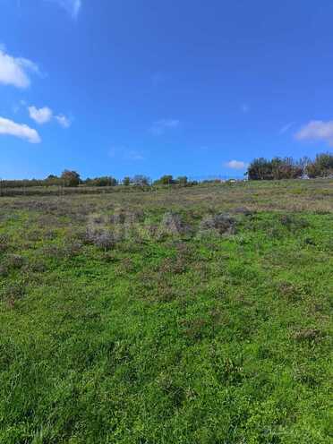 Продаётся  участок 36 сот, photo 5 from 17