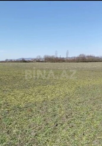 Satılır  torpaq 500 sot, photo 4 from 5