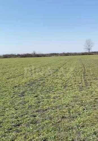 Satılır  torpaq 500 sot, photo 3 from 5