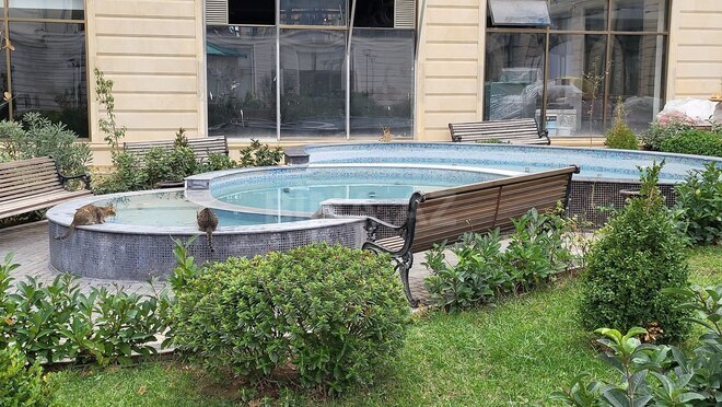 Продаётся 2-комн. новостройка 93 м², м. Гянджлик, photo 8 from 18