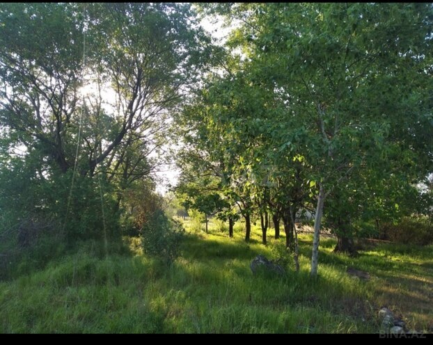 Продаётся  объект 300 м², photo 8 from 11