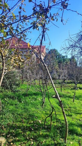 Продаётся 4-комн. дом/дача 200 м², photo 3 from 32