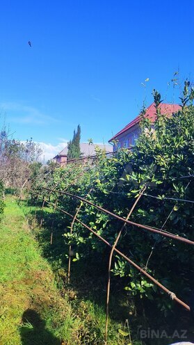 Продаётся 4-комн. дом/дача 200 м², photo 8 from 32