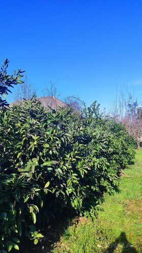 Продаётся 4-комн. дом/дача 200 м², photo 7 from 32