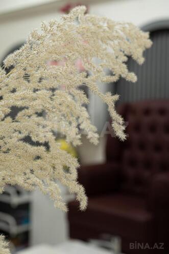 Сдаётся  объект 82 м², м. Низами, photo 22 from 24