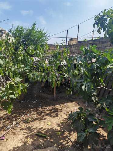 Satılır  torpaq 2 sot, Xocəsən m., photo 10 from 12