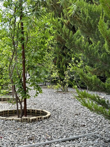 Продаётся 5-комн. дом/дача 525 м², пос. Бильгях, photo 26 from 28