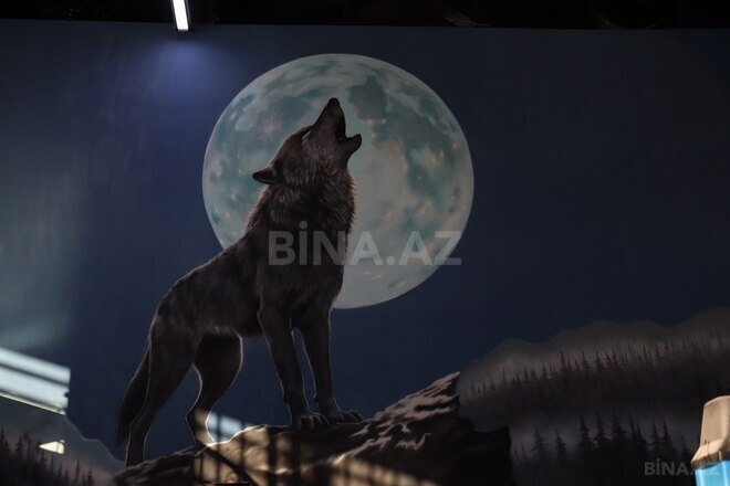 Продаётся  объект 3 000 м², Низаминский  р., photo 8 from 29