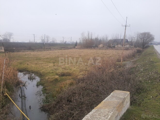 Продаётся  участок 32 сот, Хачмазский р., photo 5 from 10