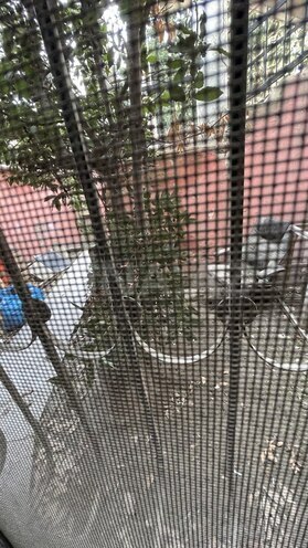 İcarəyə verilir  obyekt 70 m², Azadlıq Prospekti m., photo 9 from 10