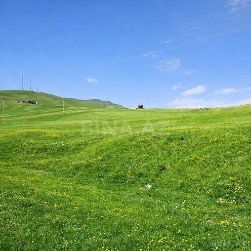 Продаётся  участок 96 сот, Кедабек р., photo 4 from 5