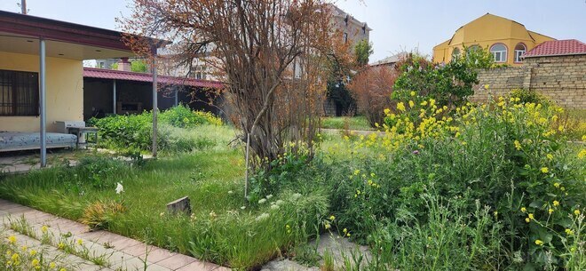 Продаётся  участок 9.5 сот, пос. Бадамдар, photo 4 from 8