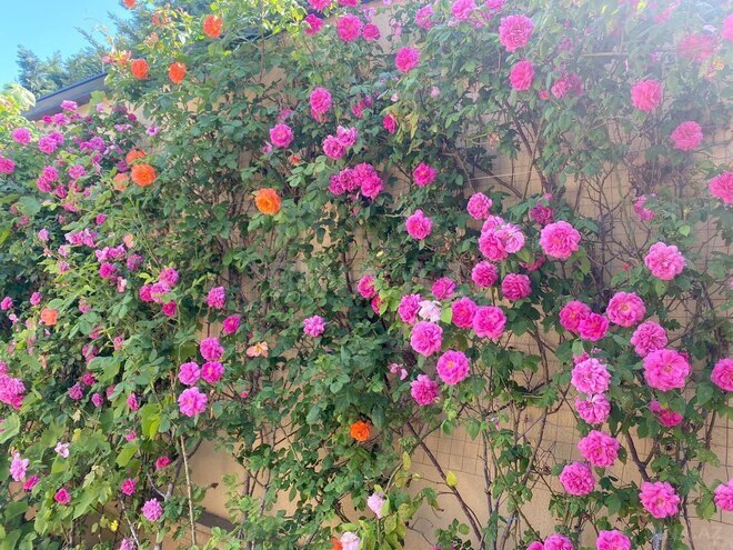 İcarəyə verilir 4 otaqlı həyət evi/bağ evi 350 m², Buzovna q., photo 7 from 29