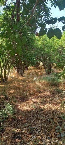 Satılır  torpaq 50 sot, Maştağa q., photo 6 from 12