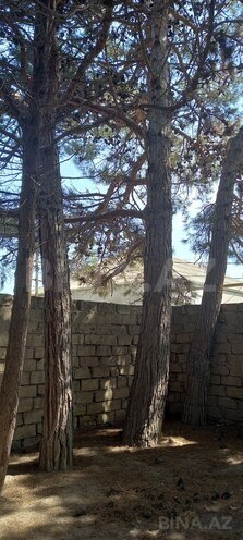 Satılır  torpaq 50 sot, Maştağa q., photo 3 from 12