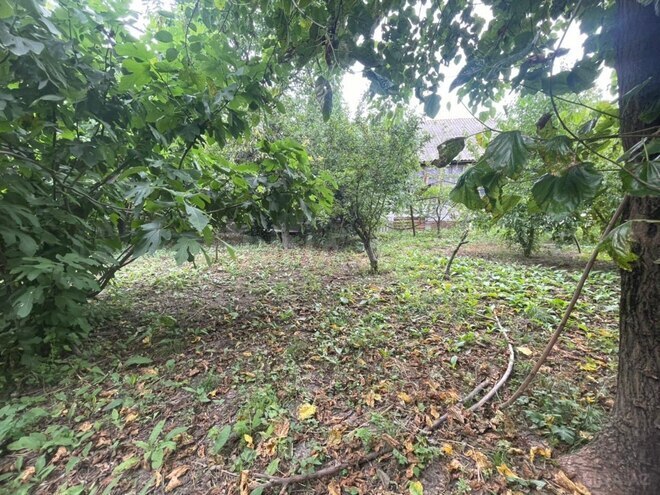 Satılır  torpaq 12 sot, photo 7 from 12