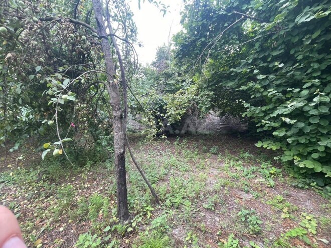 Satılır  torpaq 12 sot, photo 6 from 12