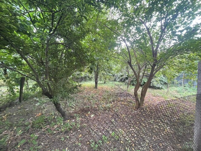 Satılır  torpaq 12 sot, photo 3 from 12