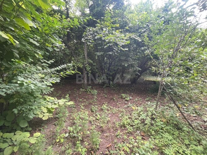 Satılır  torpaq 12 sot, photo 5 from 12