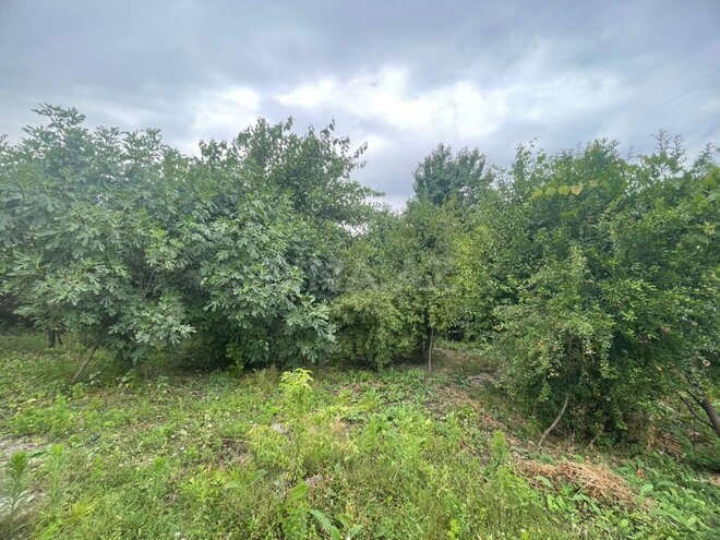 Satılır  torpaq 12 sot, photo 9 from 12