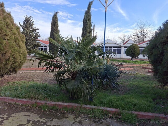 Satılır  obyekt 1 600 m², photo 10 from 31