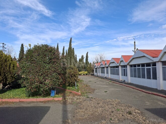 Satılır  obyekt 1 600 m², photo 19 from 31