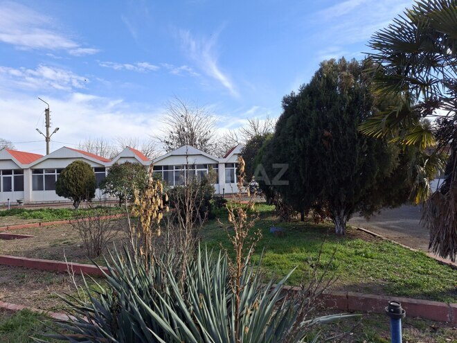 Satılır  obyekt 1 600 m², photo 13 from 31