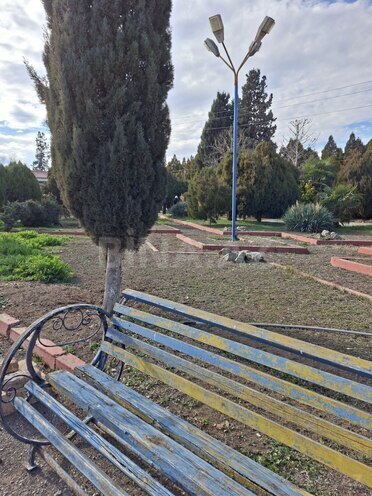 Satılır  obyekt 1 600 m², photo 24 from 31