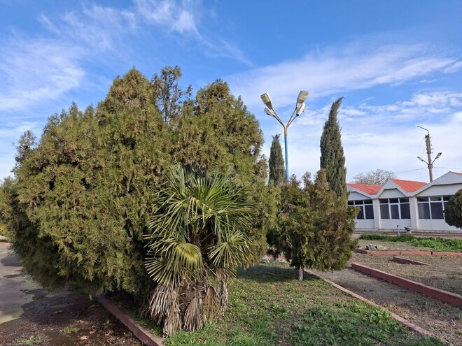 Satılır  obyekt 1 600 m², photo 14 from 31