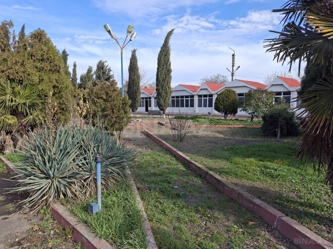 Satılır  obyekt 1 600 m², photo 16 from 31