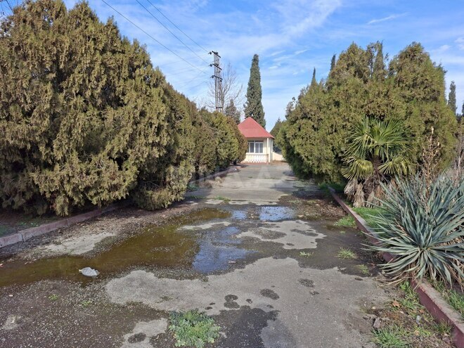 Satılır  obyekt 1 600 m², photo 17 from 31