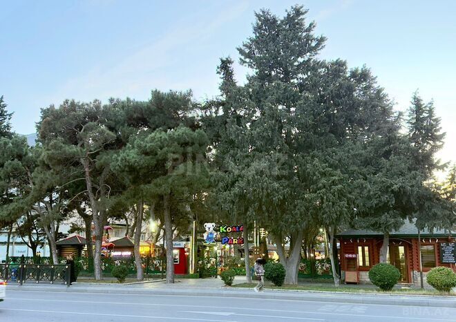 Продаётся 2-комн. вторичка 60 м², Насиминский  р., photo 17 from 18