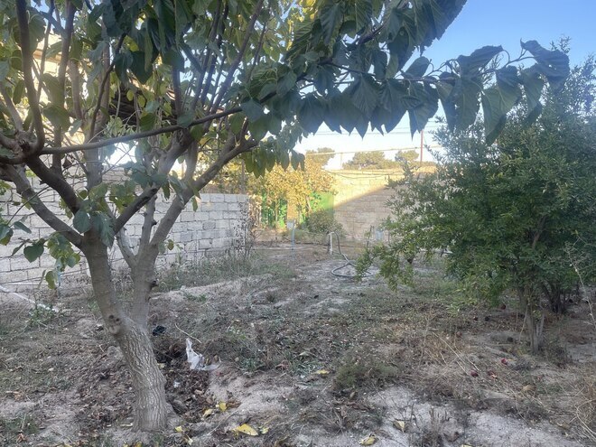 Satılır 3 otaqlı həyət evi/bağ evi 64 m², Türkan q., photo 12 from 24