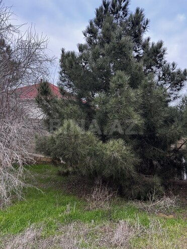 Продаётся  участок 12 сот, пос. Нардаран, photo 4 from 8