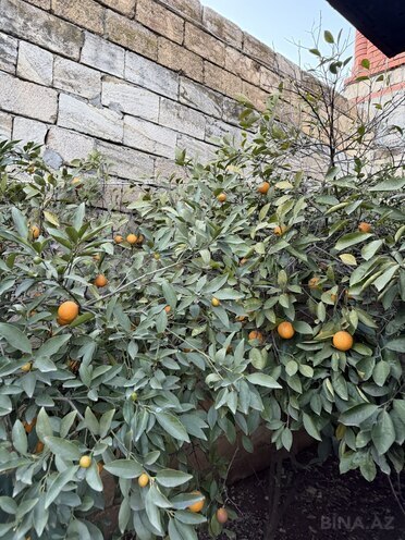 Продаётся 5-комн. дом/дача 250 м², photo 5 from 32